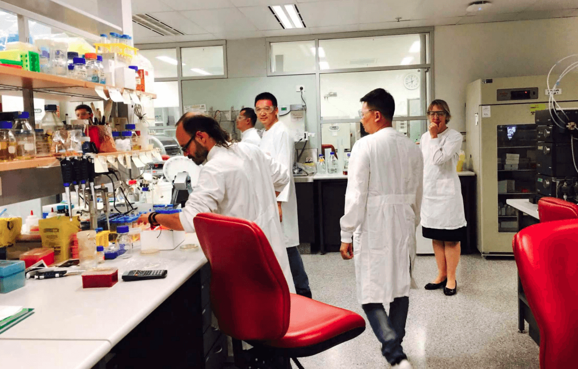 Modern laboratory with analytical instruments and chemists – demonstrating rapid formula development and strict quality control.